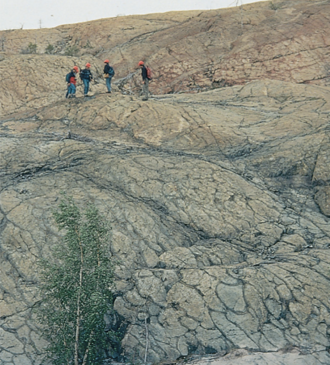 <p>What does this show?&nbsp;</p>