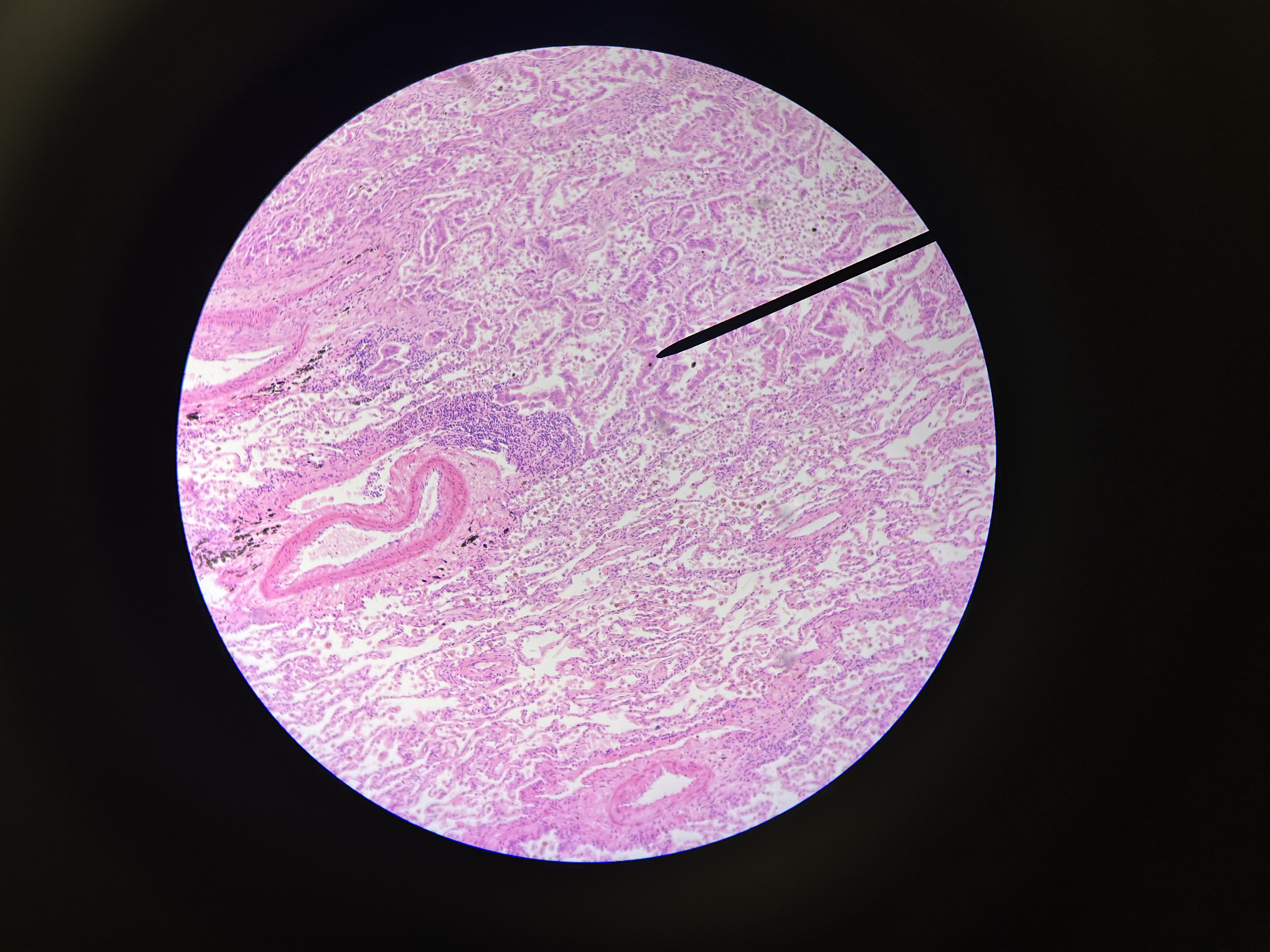 <p>What is this?</p>