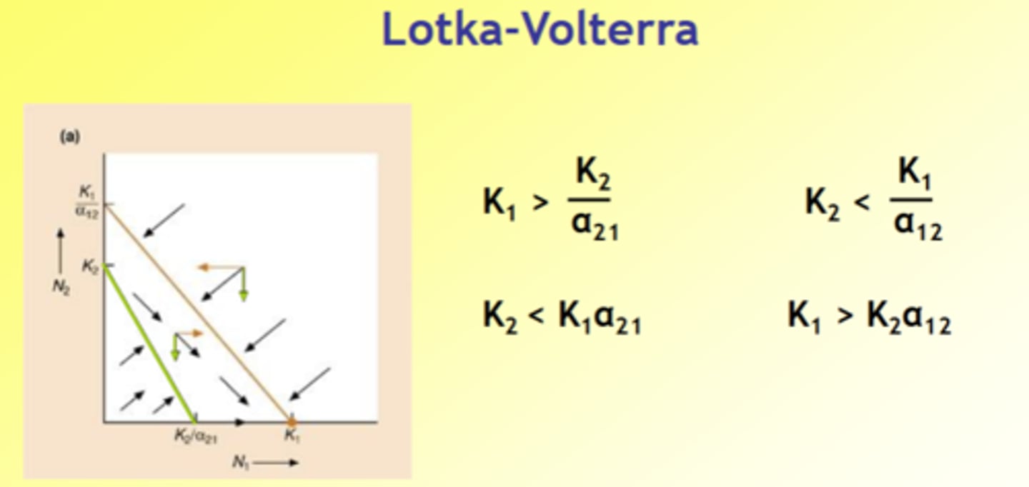 <p>- Effect of species 2 on itself < effect of species 1 on species 2</p><p>- Effect of species 1 on itself > effect of species 2 on species 1</p><p>- Species 1 is strong interspecific competitor, species 2 is weak interspecific competitor: species 1 always excludes species 2</p><p>If species 1 in middle goes towards green arrow</p><p>If species 2 in middle go in direction of orange arrow</p><p>Overall goes in direction of black arrow</p>
