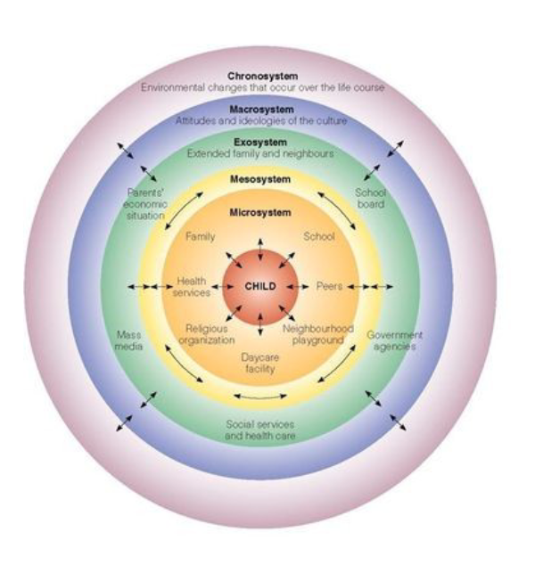 How proximal processes, personal characteristics, context, and time influence stress.