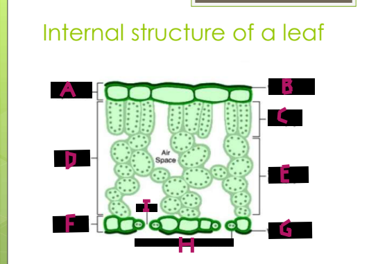 <p>What is part A?</p>