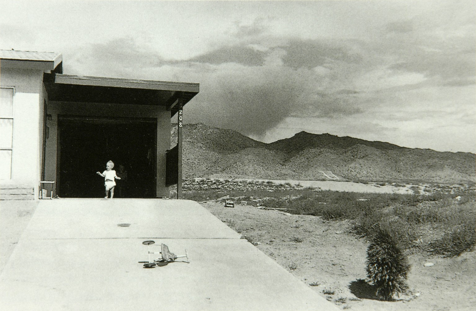 term image