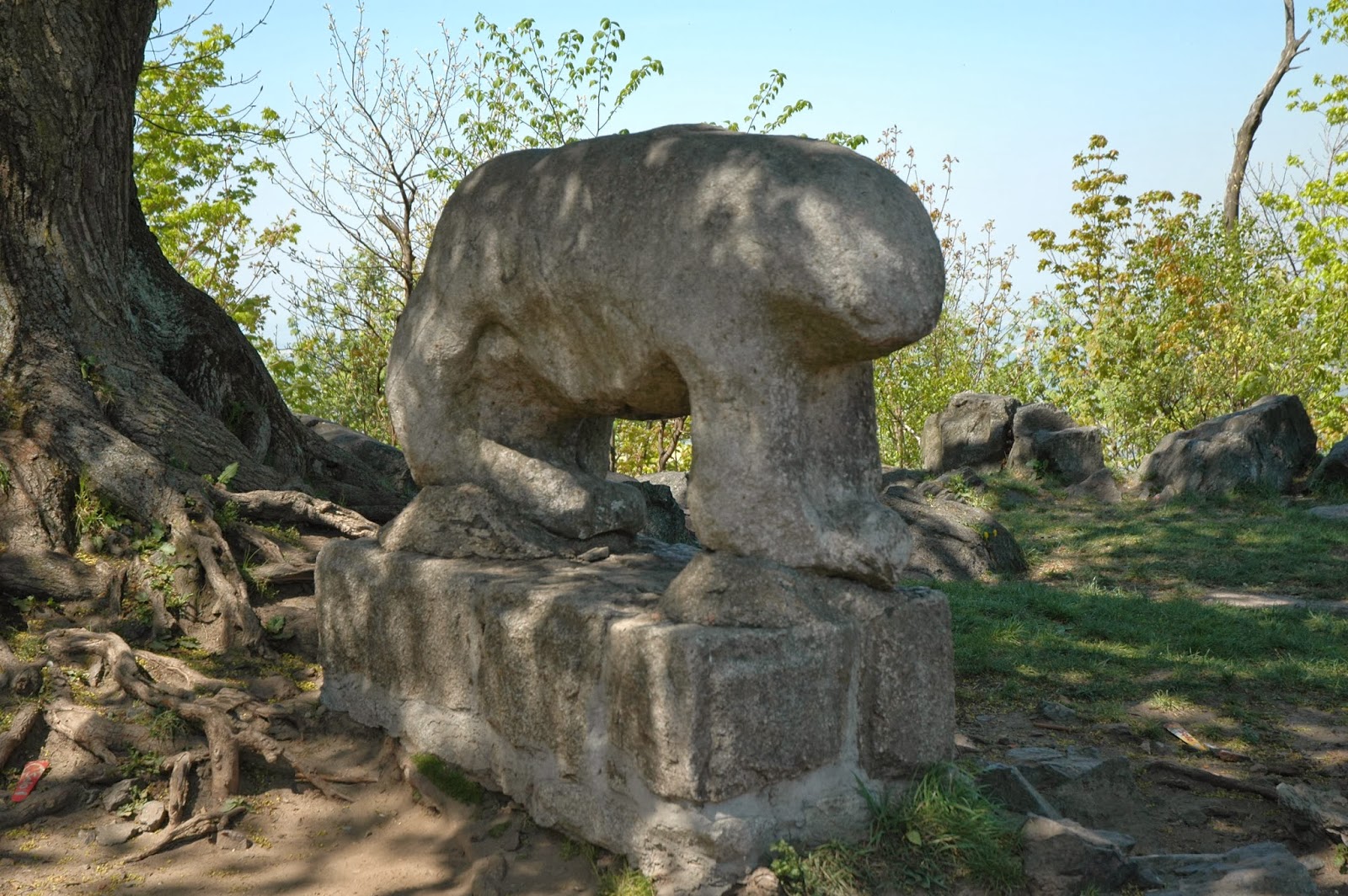 term image