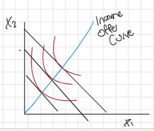 <p>income offer curve</p>