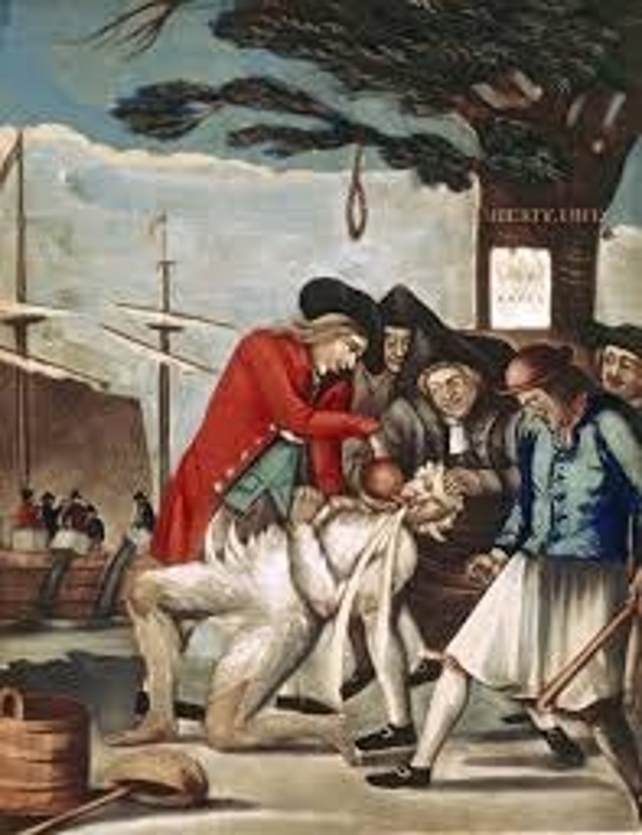 <p>A group of colonists who formed a secret society to oppose British policies before the American Revolution</p>