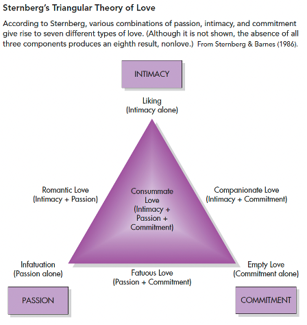 <ul><li><p><em>taxonomy</em> is derived from Robert Sternberg’s (1986) <strong>triangular theory of love</strong>.</p></li><li><p>According to <mark data-color="yellow">Sternberg,</mark> there are eight basic subtypes of love (seven different forms and an eighth combination that results in the absence of love)—and all can be derived from the presence or absence of three components. The combination can thus be viewed as the vertices of a triangle.</p></li></ul><p>•	A theory proposing that love has three basic components</p><ol><li><p>Intimacy - the emotional component, involves liking and feelings of closeness “I have a comfortable relationship with ___”</p></li><li><p>Passion - the motivational component, contains drives that trigger attraction, romance and sexual desire “Just seeing ___ is exciting for me”</p></li><li><p>Commitment - the cognitive component, which reflects the decision to make a long-term commitment to a loved partner. “I will always feel a strong responsibility for ___”</p></li></ol>