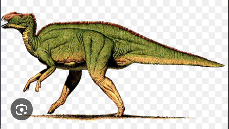 <p>Hadrosaurines</p>