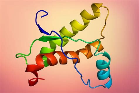 <p>Prion</p>