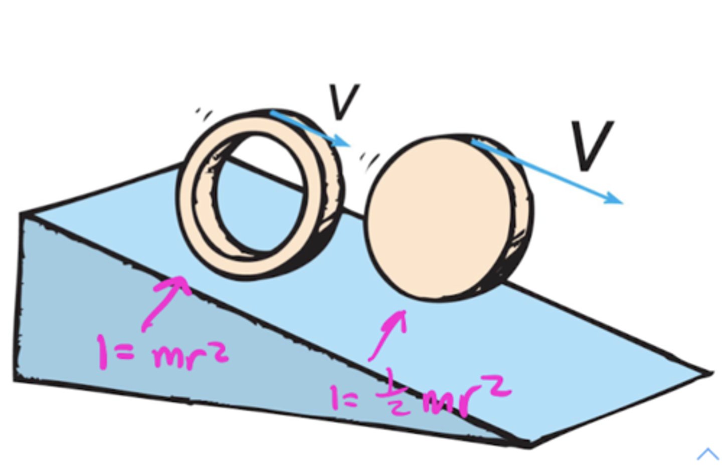<p>The solid disk, because it has less inertia than the hoop, meaning it resists motion LESS.</p>