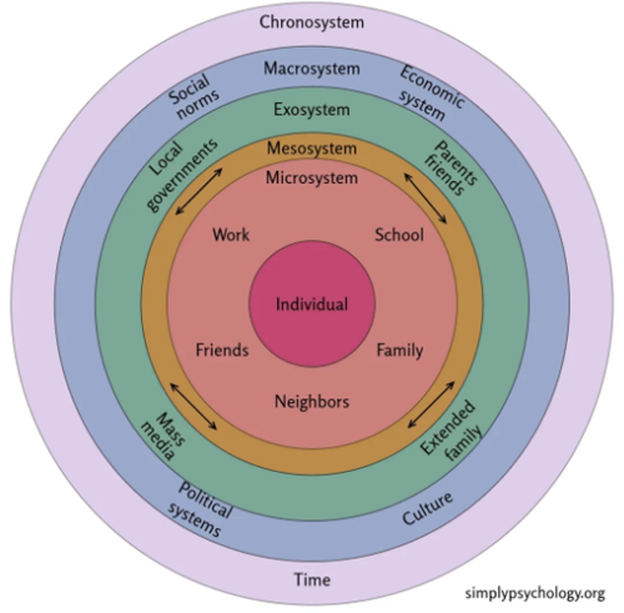 <p>An individual's development is influenced by a series of interconnected environmental systems</p>