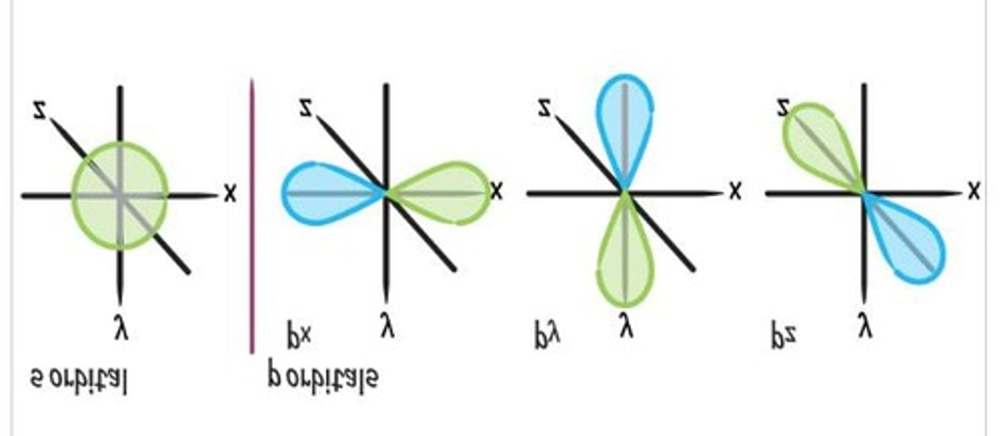 <p>3D areas where electrons have the highest probability of existing.</p>