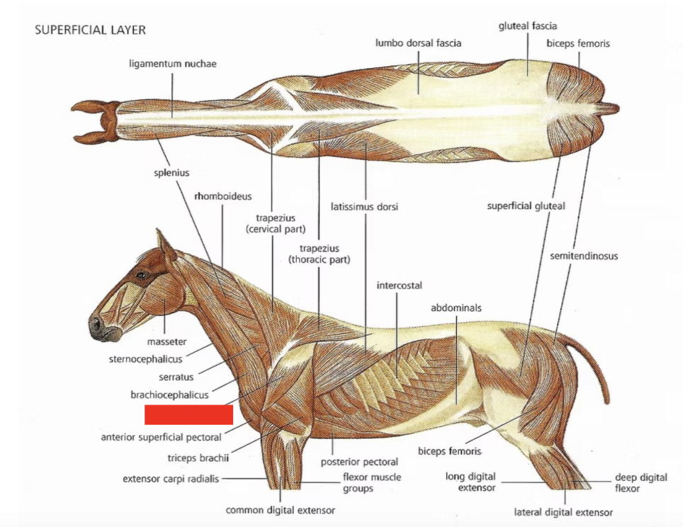<p>What is this?</p>