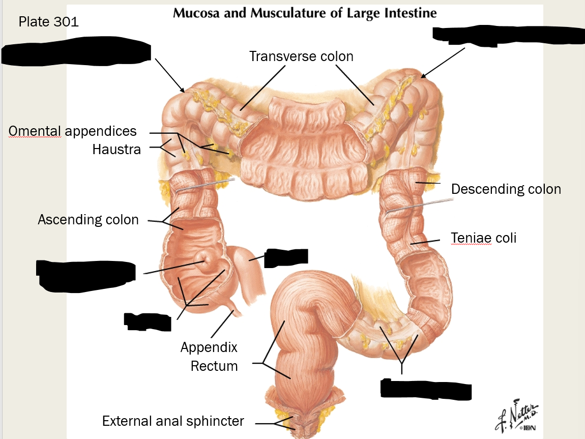 <p>label these structures</p>