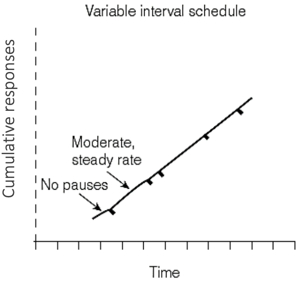 Responses to VI Schedules
