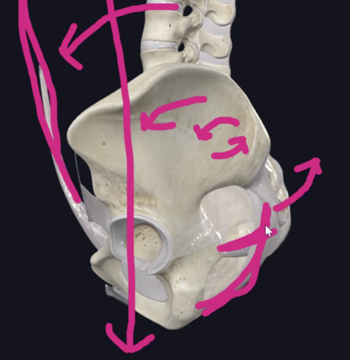 <p>They resist movement that would be intiated by the center of mass.</p>