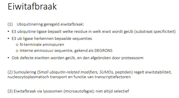 <ul><li><p>ubiquitinering gergelde eiwitafbraak (ook defecte eiwitten worden geUb en dan afgebroken door proteasoom)</p></li><li><p>Sumoylering (Small ubiquitin-related modifiers, SUMOs, peptiden) regelt eiwitstabiliteit, nucleoplasmtisch transport en functie van transcriptiefactoren.</p></li><li><p>Eiwitafbraak via lysosomen (microautofagie); niet altijd selectief</p></li></ul><p></p>