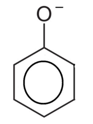 <p>Phenoxide ion.</p>