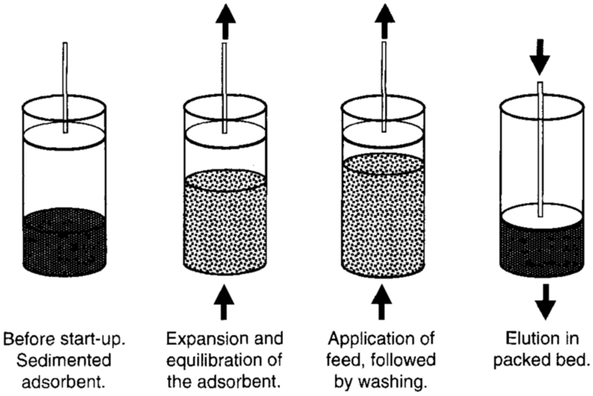 <p>Expanded Bed Adsorption (<span style="color: rgb(7, 179, 246);">EBA</span>)</p>
