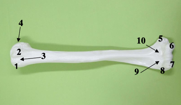 <p>1</p>