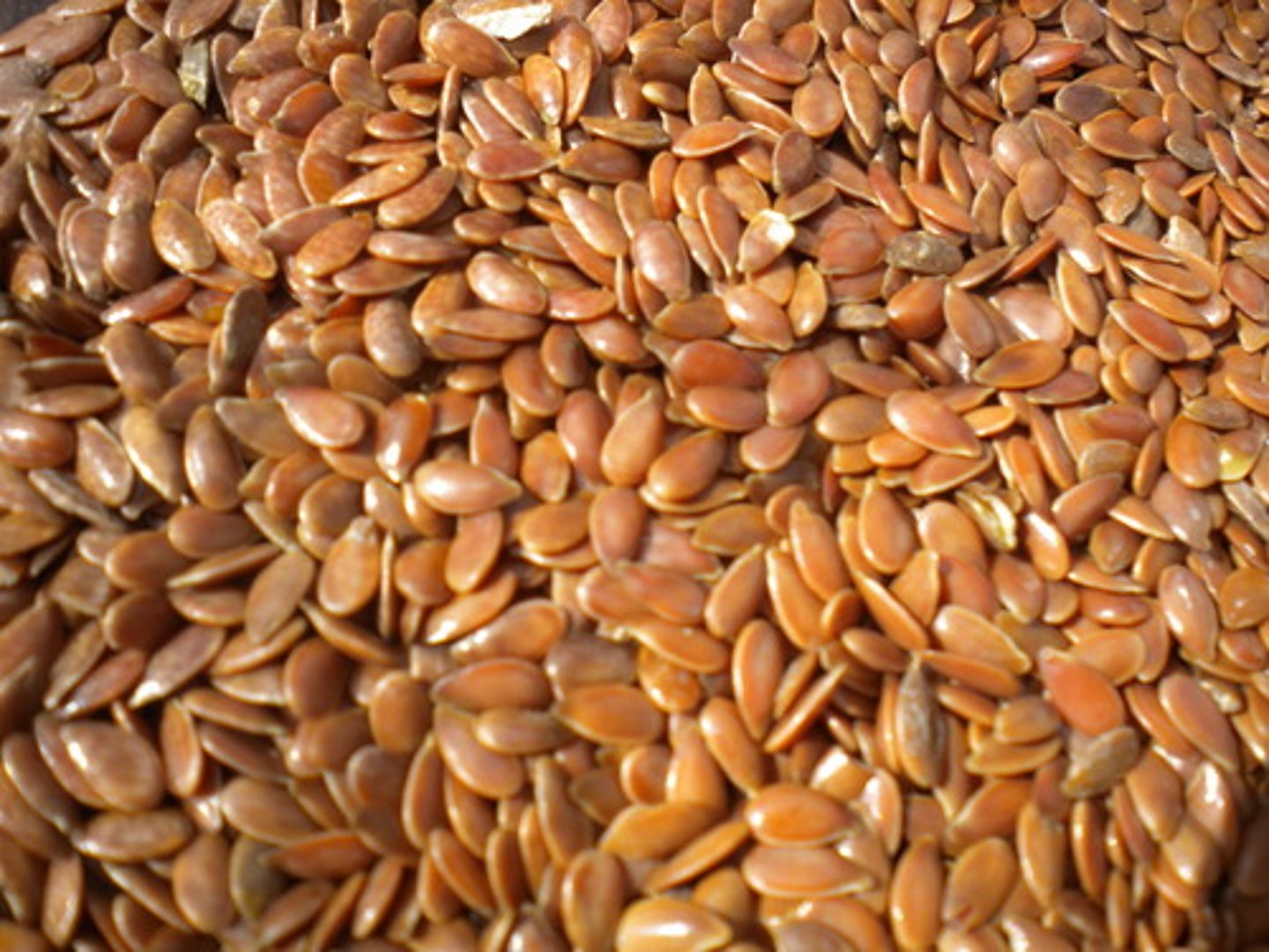 <p>flax</p><p>Actions: demulcent*; laxative</p><p>Indications: constipation*; GI irritation; nutritive; hormone imbalance; breast CA</p><p>SE: GI (nausea, bloating gas)</p><p>CI: Ileua, IBD, IBS</p>
