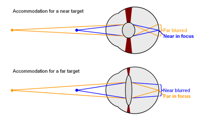 <p>objects in a different depth plane look more blurry ss</p>