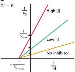 <p>Noncompetitive/Mixed inhibitors </p>