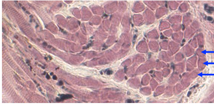 <p>what’s this?</p>