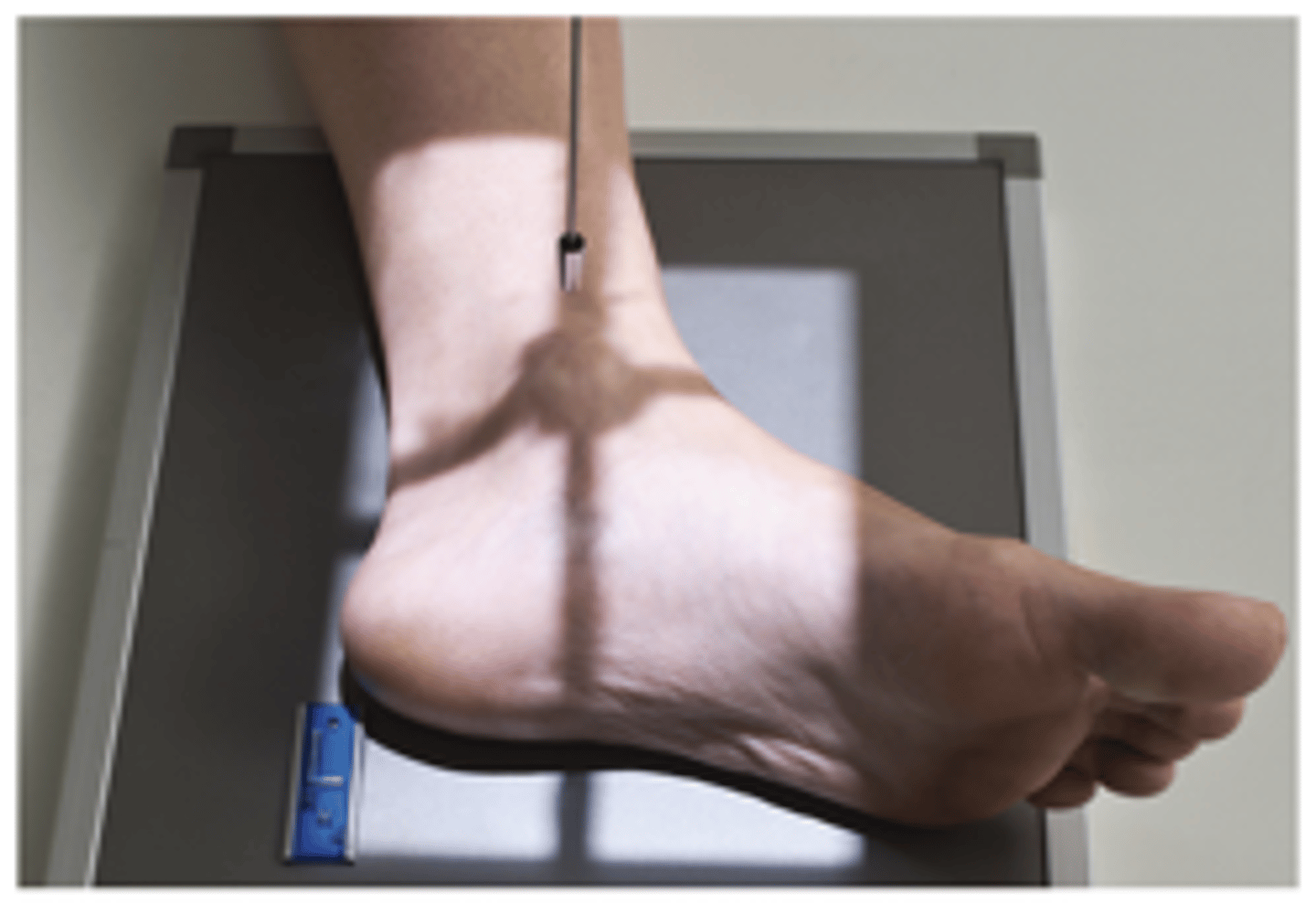 <p>What projection is this?</p>