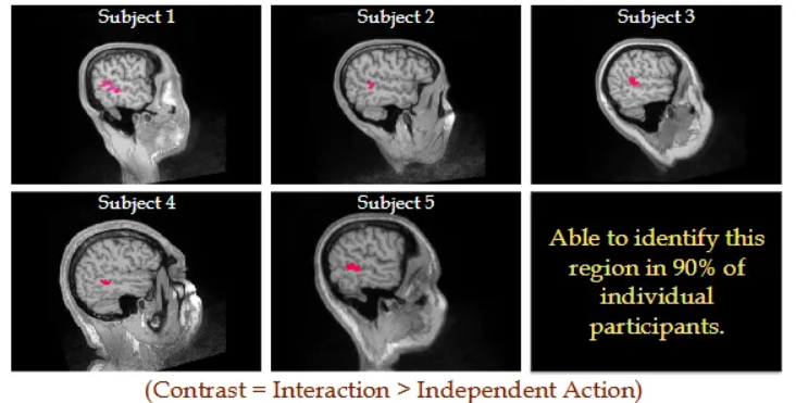 <p>The posterior superior temporal sulcus (pSTS) is a key brain region that shows robust and unique selectivity specifically for processing social interactions. </p><p>This selectivity is distinct from other social functions like face perception or theory of mind. </p>