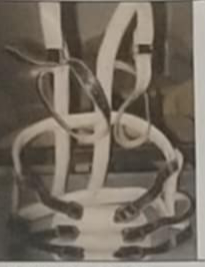 <p>Knight taylor Brace</p>
