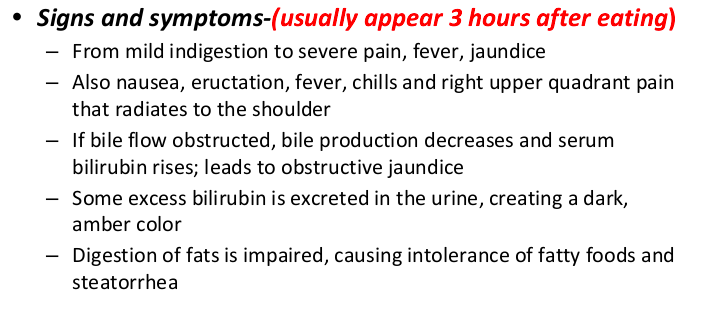 <ul><li><p>clay-colored stool if bile duct obstructed / steatorhea</p></li><li><p>pancreli-paste (enzymes) given for digestion of fats, carbs, proteins. give w meals. capsule</p></li></ul><p></p>