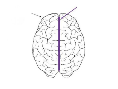 <p>What does the purple line refer to</p>