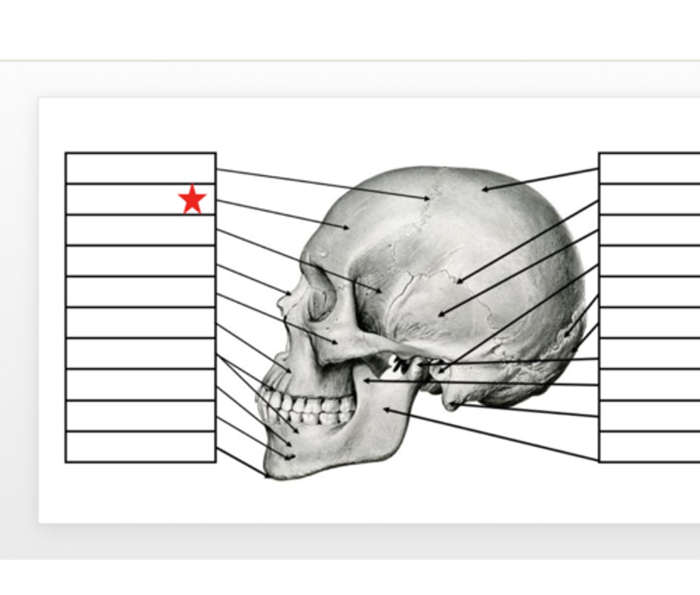 <p>What is this?</p>