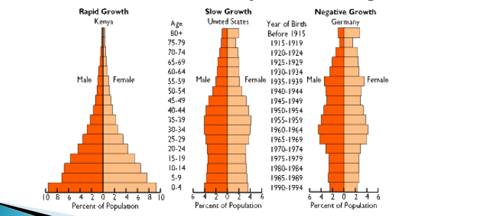 <ul><li><p>rapid growth: pop continues to increase due to many females that are at age of reproduction</p></li><li><p>slow growth: pop will grow slowly since moderate amount of females who can reproduce </p></li><li><p>negative growth: pop will continue to decrease since fewer females to reproduce, lower future pop</p></li></ul><p></p>