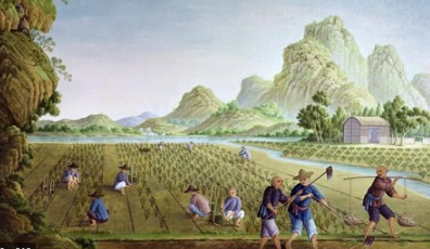 Introduced to the Champa states by Vietnam, a Hindu state, and then offered to the Chinese as tribute. This was drought-resistant, flood-resistant, and capable of yielding two crops a year. Widely distributed in China contributing to the population growth.
LO 11) Various networks of exchange allowed for the diffusion of crops around Afro-Eurasia, therefore increasing the degradation of the environment across Afro-Eurasia. 