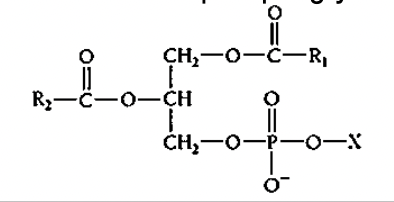 <p>True or false: the second hydroxyl, R2, is saturated</p>