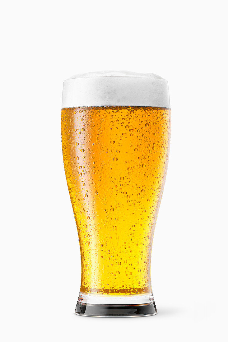 <p>Beer / bière </p>