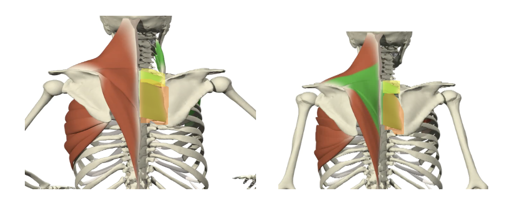 <p>geel + oranje</p>
