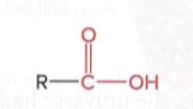 <p>a carbonyl group (C=O) and a hydroxyl group (–OH) bonded to the same carbon atom, R group is attached to the carboxylic carbon</p>