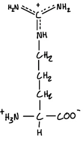 <p>1-Letter Abbreviation</p>