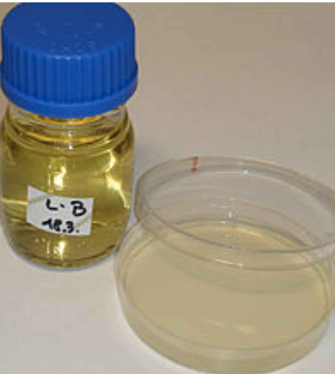 <p>Nutriontially rich medium used to grow a variety of bacteria in the laboratory</p>