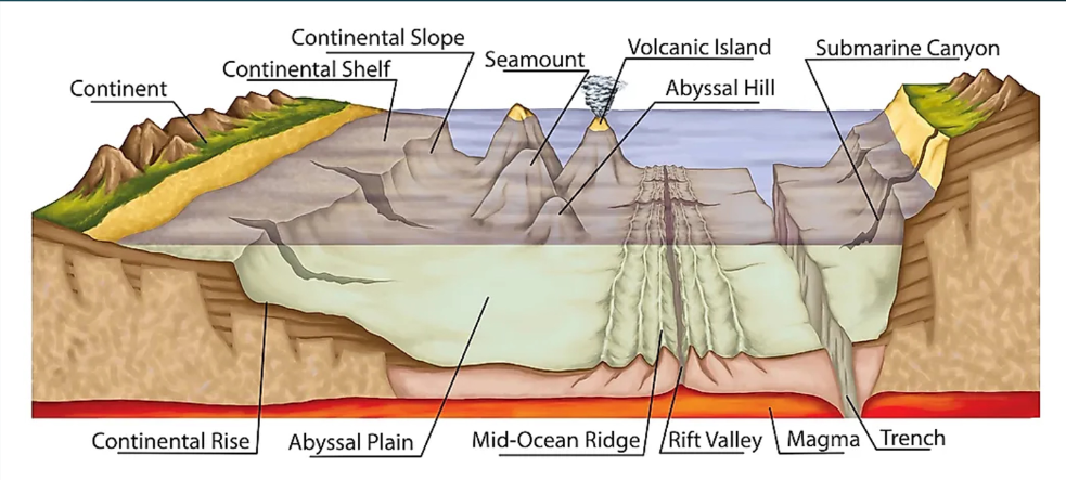Broad shallow submarine terrace of crust at edge of continent. Similar geology to continent. 8% of oceans floor, 100-200 meters depth. average slope of 0.1 degree