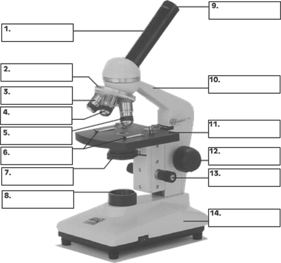 <p>MICROSCOPES<br>Know the parts (names & functions) of the compound and dissecting microscopes and how to calculate their total magnification. </p>