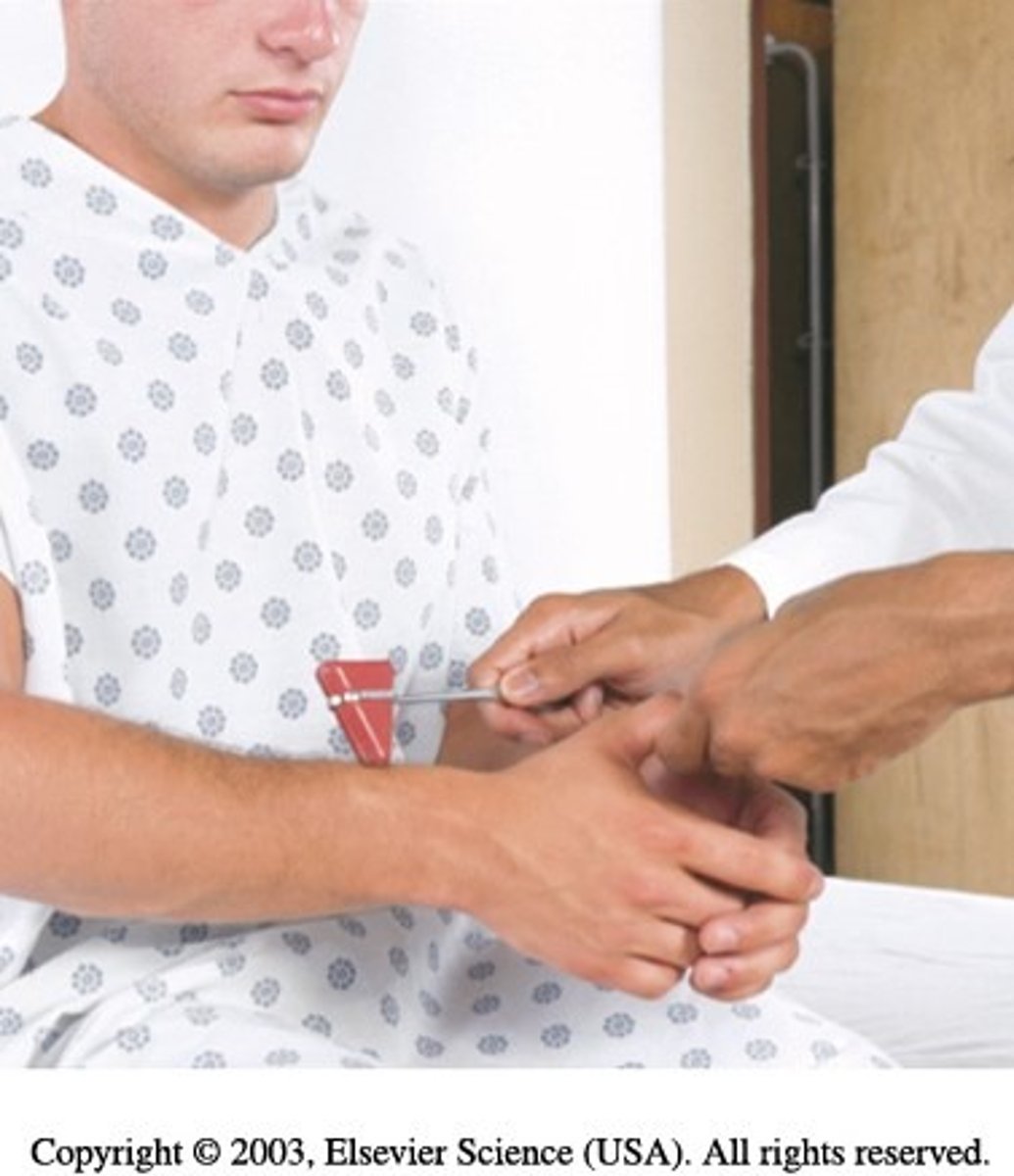 <p>Motor: biceps, ECRL</p><p>Movement: elbow flexion, wrist extension</p><p>Reflex: brachioradialis</p><p>Sensory: radial boarder of hand and forearm</p>