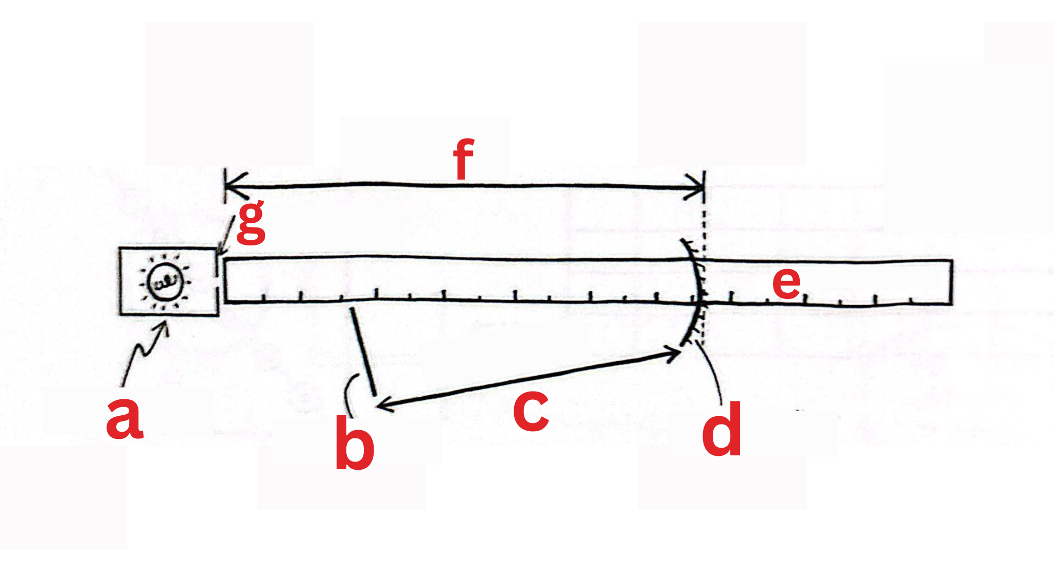 <p><span style="color: rgb(0, 0, 0);"><span>Label This Diagram</span></span></p>