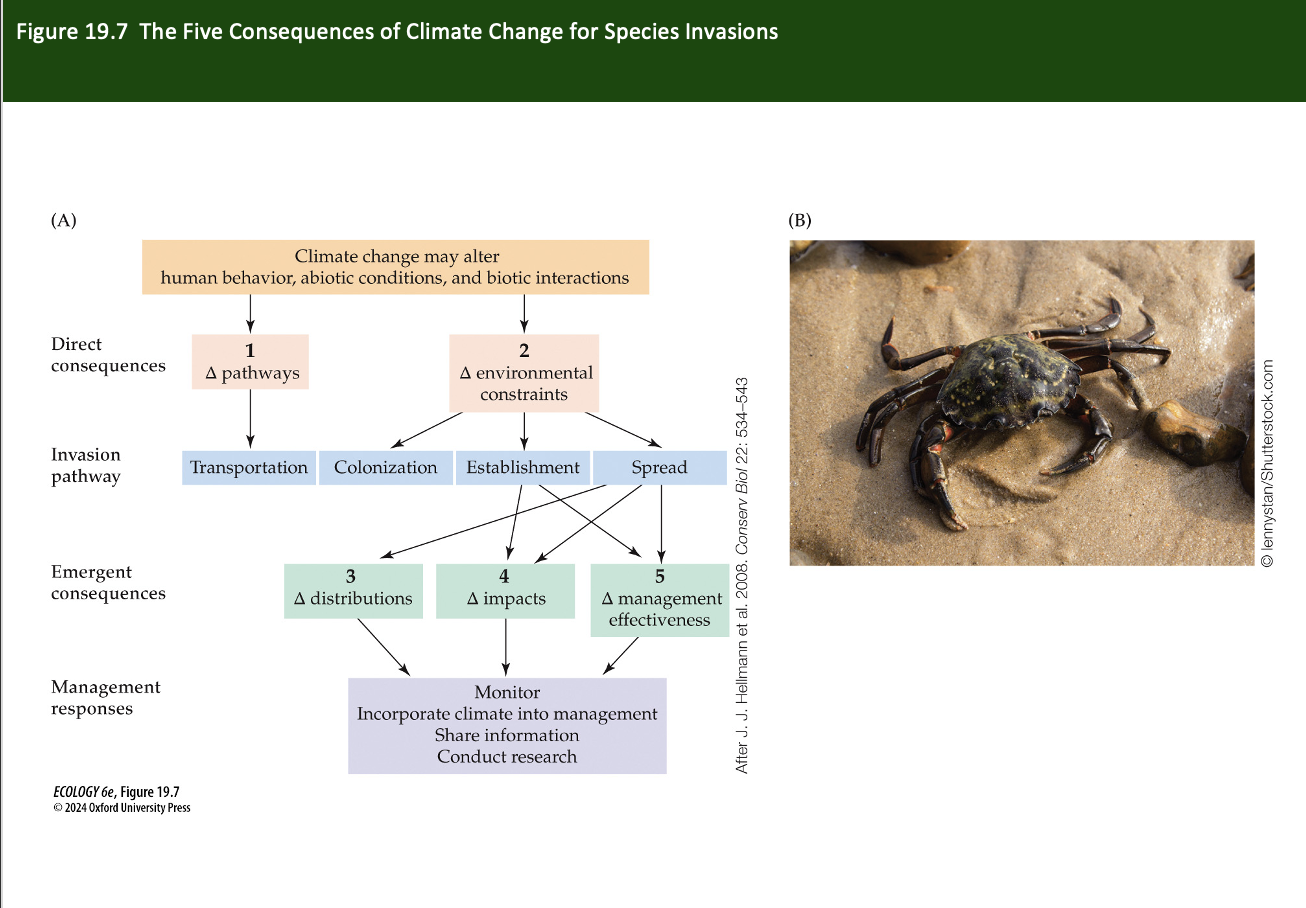 <p>Figure 19.7- Hellman and Sylvia Behrens Yamada Five Consequences of Climate Change for Species Invasions</p><p>What does this figure show?</p>