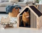 <p>there was, there were</p><p>There was a cat in the house</p>