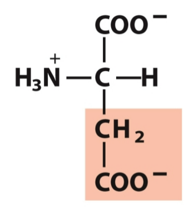 <p>Polar, negative</p>