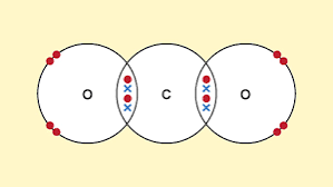 <p>Simple covalent bonds characteristics</p>
