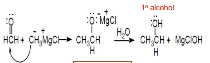 <ul><li><p>1 alcohol</p></li></ul>